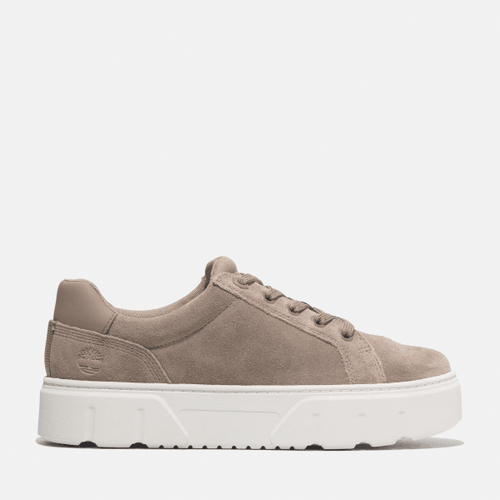 Sneaker Bassa Stringata Laurel Court da Donna in pelle scamosciata beige, Donna, beige, Taglia: 42 - Timberland - Modalova