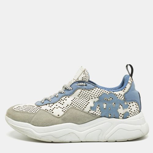 Suede and Leather Lace Up Sneakers Size 40 - Roberto Cavalli - Modalova