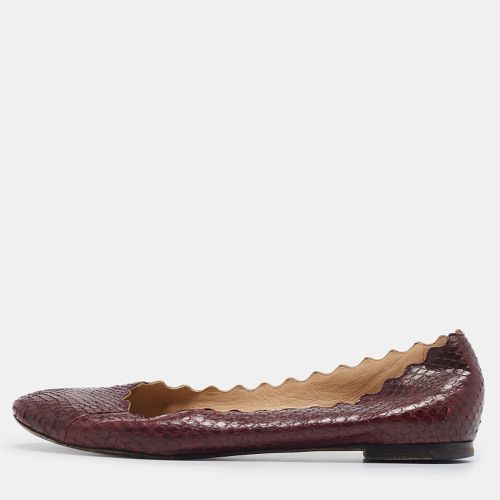 Python Leather Lauren Scallop Ballet Flats Size 38 - Chloe - Modalova