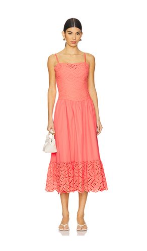 Nathalia Dress in . Size XS. Also in S, M, L - ASTR the Label - Modalova