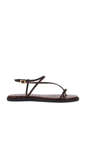 Alayta Square Toe Sandal en . Taille 10. Also en 11, 8, 9 - Kaanas - Modalova