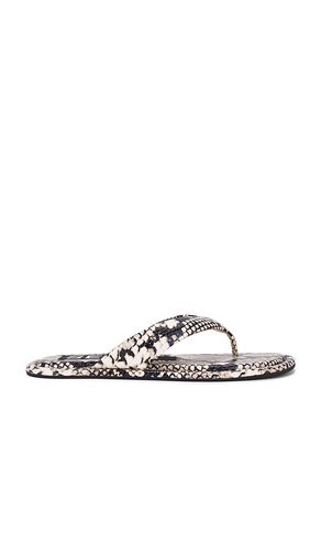 Innika III Flip Flop in . Taglia 36. Also in 37, 38, 39, 40 - SENSO - Modalova
