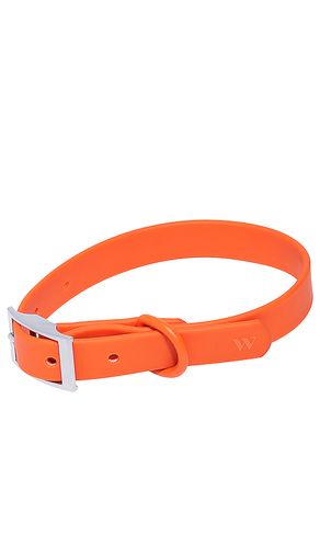 Cuello extra small collar en color burnt orange talla all - Wild One - Modalova