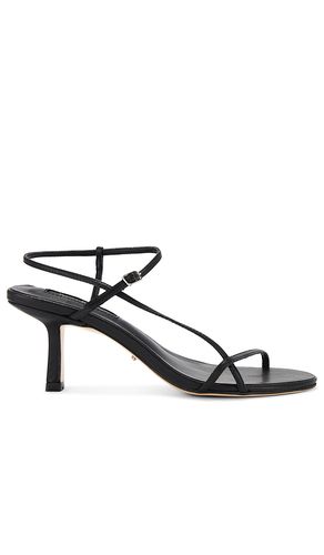 Caprice Heel in . Size 10. Also in 6, 5, 5.5, 6.5, 7, 7.5, 8, 8.5, 9, 9.5 - Tony Bianco - Modalova