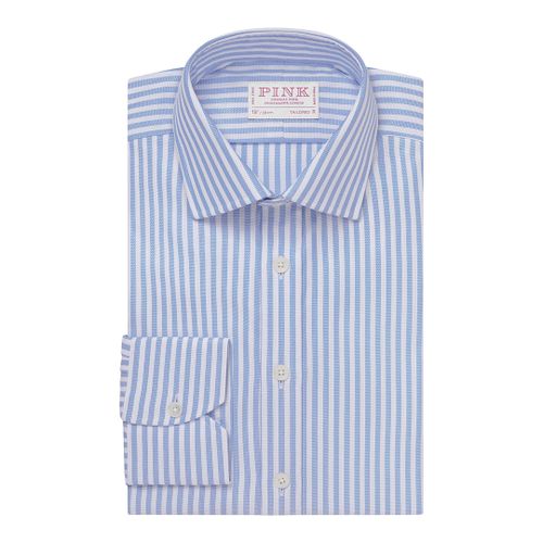 Striped Tailored Fit Cotton Shirt - Thomas Pink - Modalova