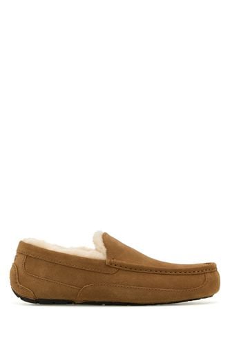 M ASCOT-7 Nd Ugg Male - Ugg - Modalova