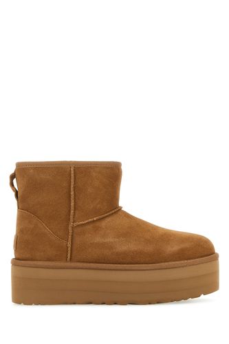 W CLASSIC MINI PLATFORM-7 Female - Ugg - Modalova