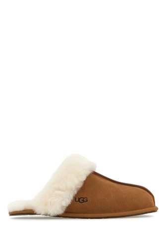 CIABATTE-5 Nd Ugg Female - Ugg - Modalova