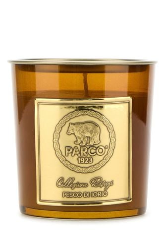 CANDELA PESCO DI IORIO 240g-TU Male,Female - Parco 1923 - Modalova