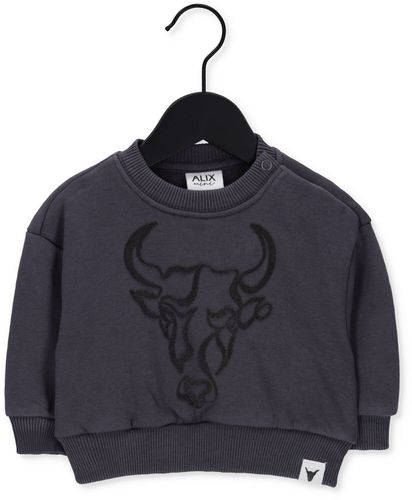 Sweatshirt Teens Knitted WAshed Bull Sweater Mädchen - Alix Mini - Modalova