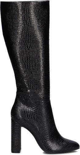 Hohe Stiefel Ally Damen - Steve Madden - Modalova