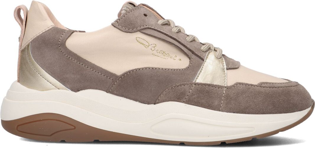 Sneaker Low 101010438 Damen - Fred de la Bretoniere - Modalova