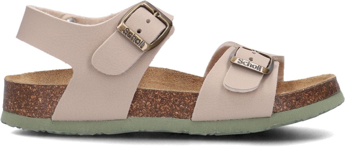 Scholl Sandalen Shark Beige Jungen - Scholl - Modalova