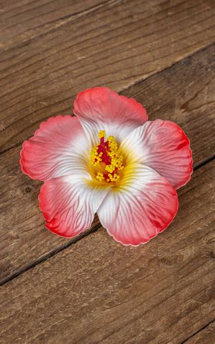 Haarspange Hibiskus Hawaii Blüte, rot - Rockabilly Rules (DACH) - Modalova