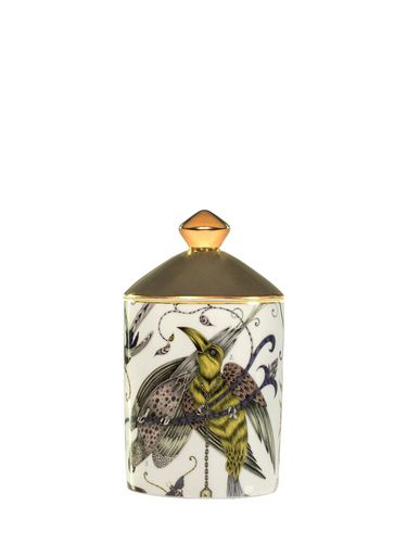 Audubon Candle - EMMA SHIPLEY - Modalova