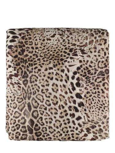 Reversible Cotton Throw - ROBERTO CAVALLI - Modalova