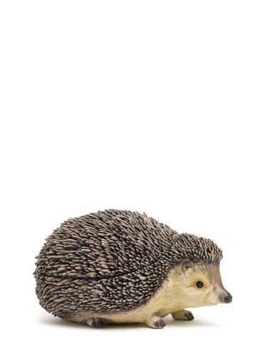 Hedgehog Printed Resin Clutch - JW ANDERSON - Modalova