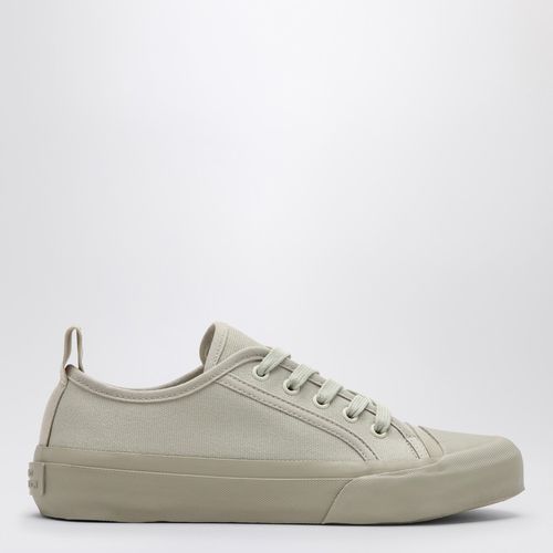 Byrd dove-coloured low sneaker - Studio Nicholson - Modalova