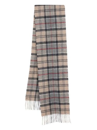 Écharpe frangée Holden à carreaux - Barbour - Modalova