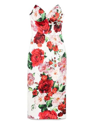 Robe mi-longue à roses imprimées - Dolce & Gabbana - Modalova