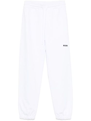 Pantalon de jogging en coton - MSGM - Modalova