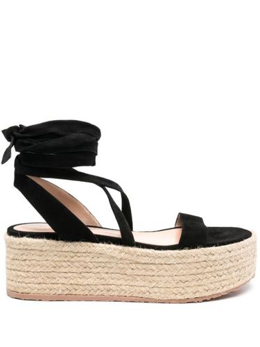 Espadrilles en daim - Gianvito Rossi - Modalova
