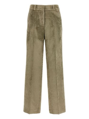 Pantalon en velours côtelé - Peserico - Modalova