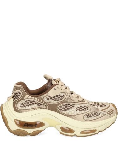 Ash baskets Dragon - Marron - Ash - Modalova