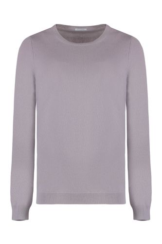 Malo Cashmere Sweater - Malo - Modalova