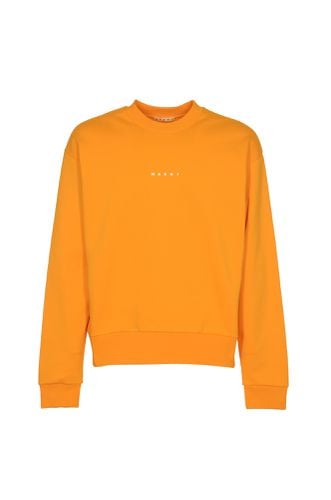 Marni Logo Organic Sweatshirt - Marni - Modalova