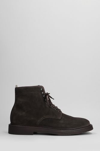 Hopkins Flexi Ankle Boots In Suede - Officine Creative - Modalova