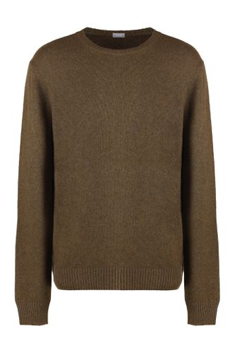 Malo Cashmere Crew-neck Sweater - Malo - Modalova