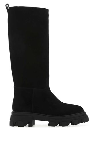 Black Suede Perni07 Boots - GIA BORGHINI - Modalova