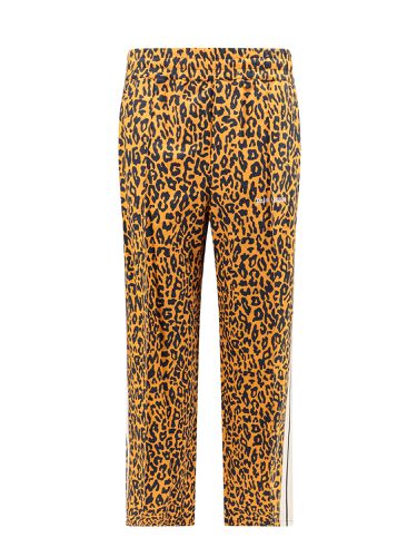 Animal Print Track Pants - Palm Angels - Modalova