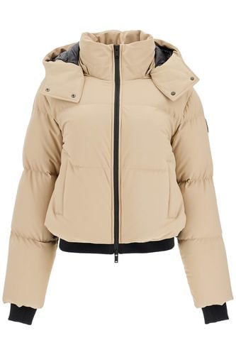 Misti Short Down Jacket - Moose Knuckles - Modalova