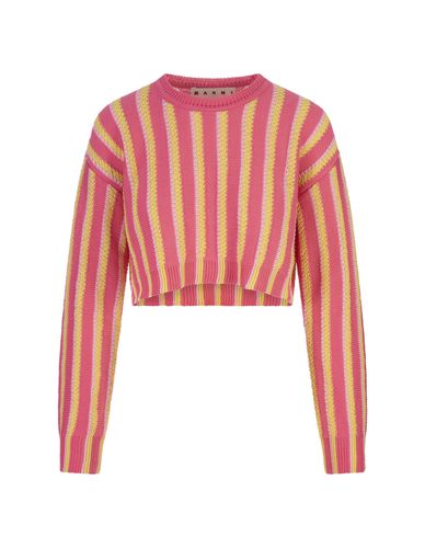 Yellow And White Striped Knitted Crop Pullover - Marni - Modalova
