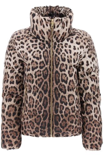 Leopard Print Padded Jacket - Dolce & Gabbana - Modalova