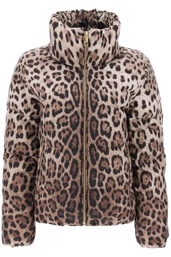 Leopard Print Padded Jacket - Dolce & Gabbana - Modalova