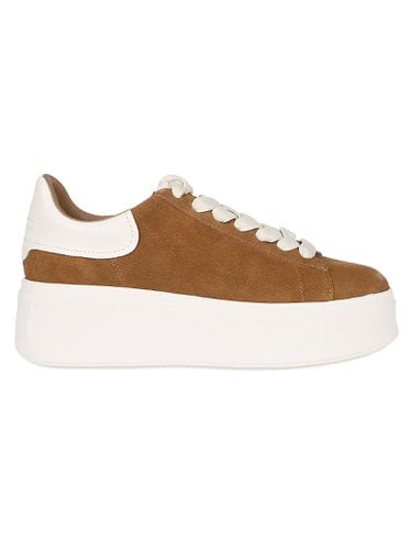 Ash Moby Sneakers - Ash - Modalova