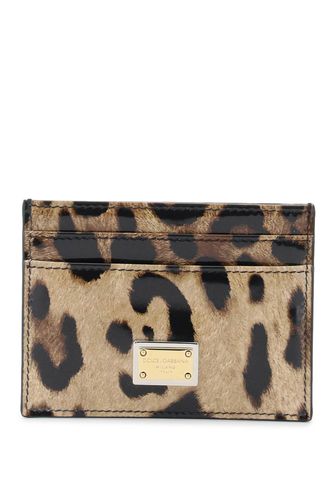 Leopard Print Leather Cardholder - Dolce & Gabbana - Modalova