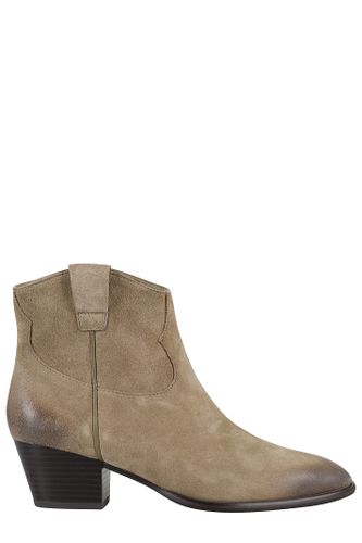 Ash Suede Velours - Ash - Modalova