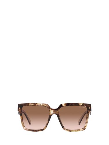 Pr 24zs Caramel Tortoise Sunglasses - Prada Eyewear - Modalova