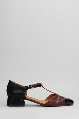 Hernani Pumps In Leather - Chie Mihara - Modalova