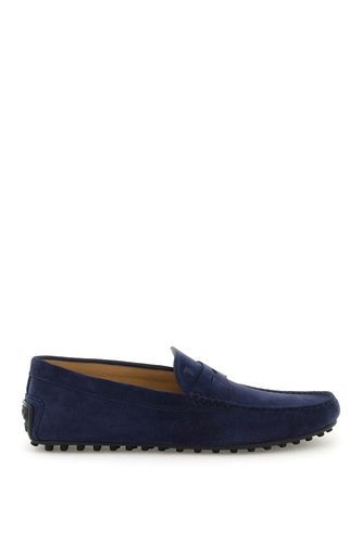 Suede Leather Gommino Driver Loafers - Tod's - Modalova