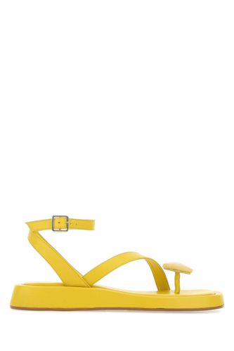 Yellow Leather Rosie 18 Thong Sandals - GIA BORGHINI - Modalova