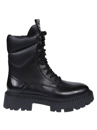 Ash Gotta Combat Ankle Boots - Ash - Modalova