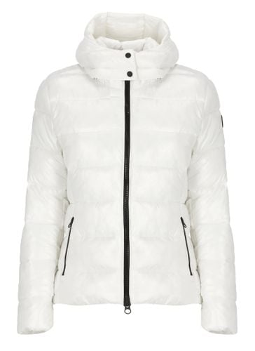 Cosmary Padded Short Jacket - Save the Duck - Modalova