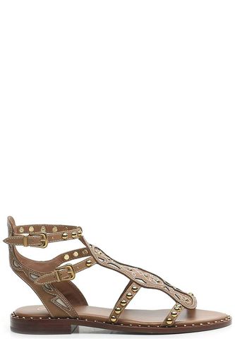 Ash Plaza Round-toe Sandals - Ash - Modalova