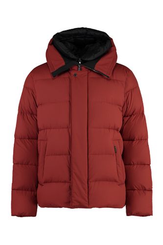 Erenio Hooded Short Down Jacket - Moorer - Modalova