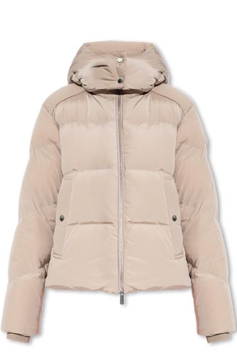 Woolrich alsea Down Jacket - Woolrich - Modalova